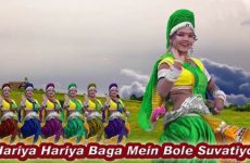Hariya Hariya Baga Mein Bole Suvatiyoo Marwadi Holi Song